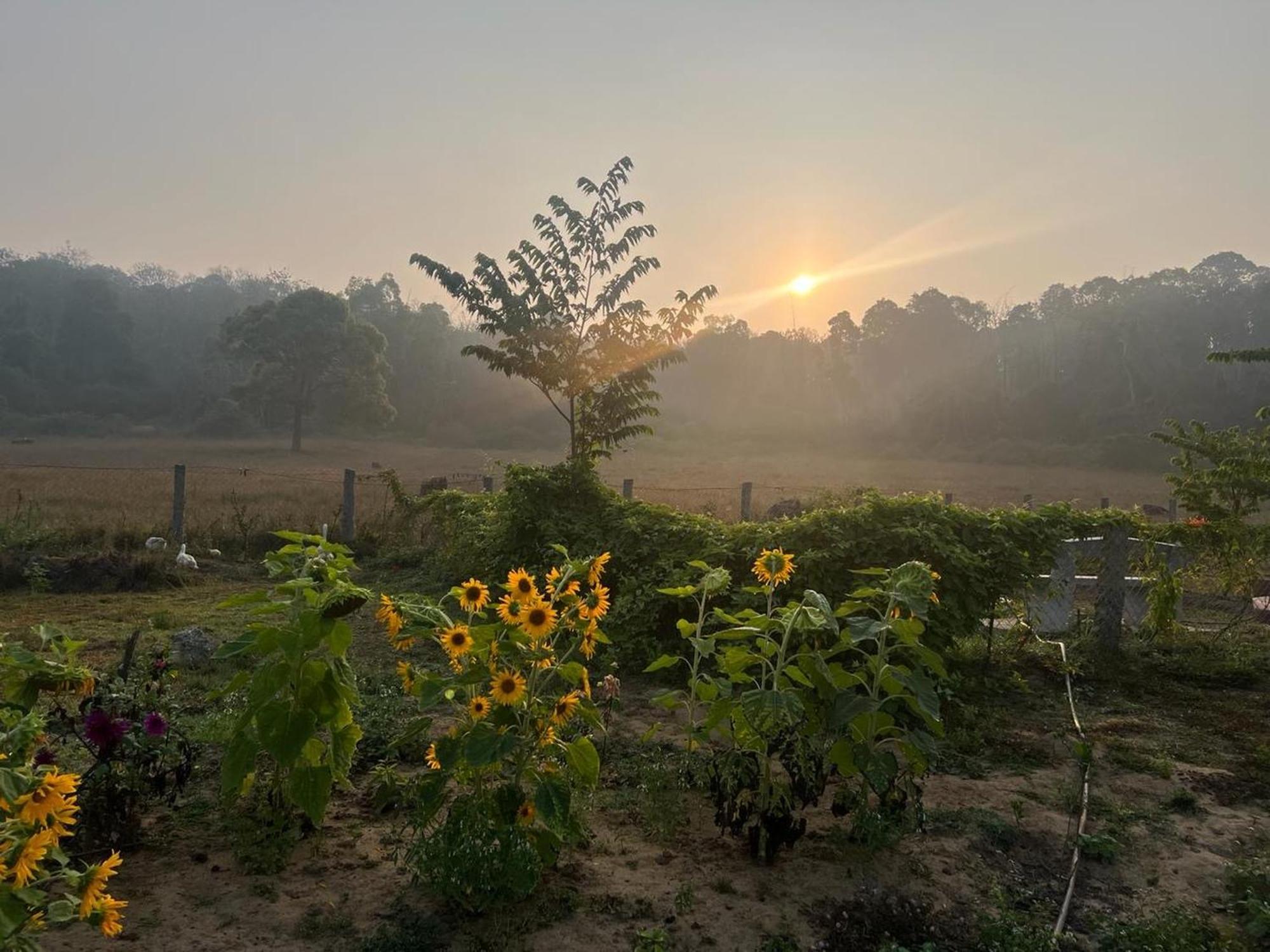 Villa The Deer Meadows Mudumalai Esterno foto
